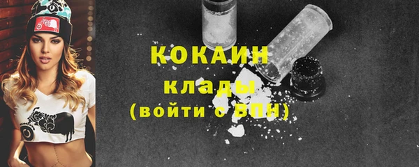 шишки Волосово
