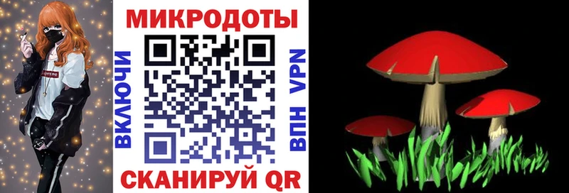 Галлюциногенные грибы Magic Shrooms  OMG зеркало  Каргат 